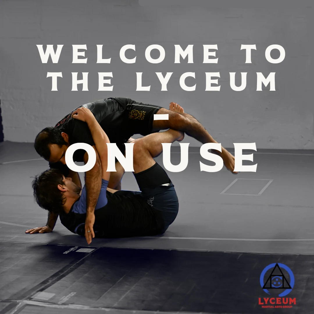 Welcome to the Lyceum: On Use